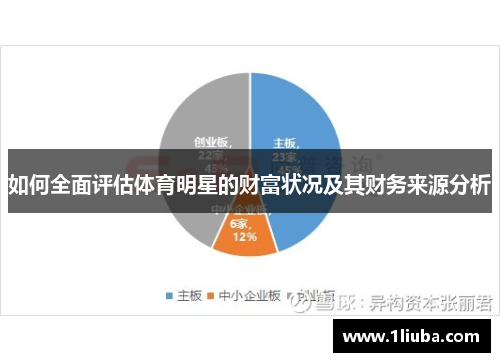 如何全面评估体育明星的财富状况及其财务来源分析