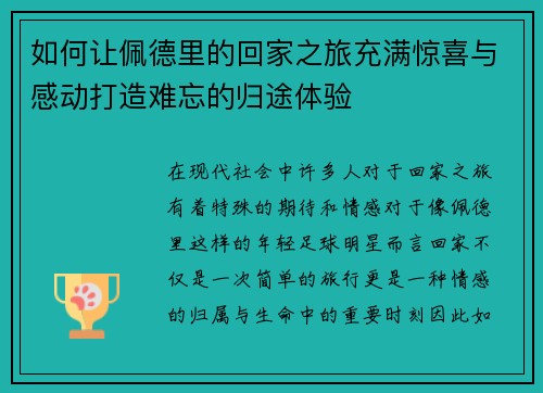 如何让佩德里的回家之旅充满惊喜与感动打造难忘的归途体验