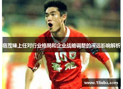 宿茂臻上任对行业格局和企业战略调整的深远影响解析