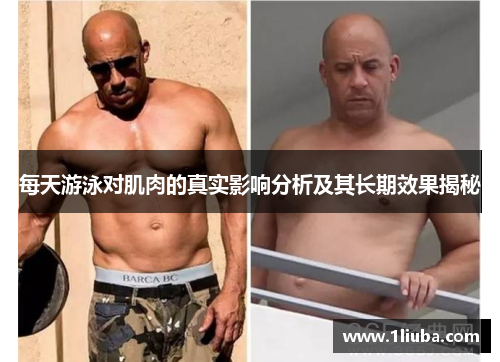 每天游泳对肌肉的真实影响分析及其长期效果揭秘