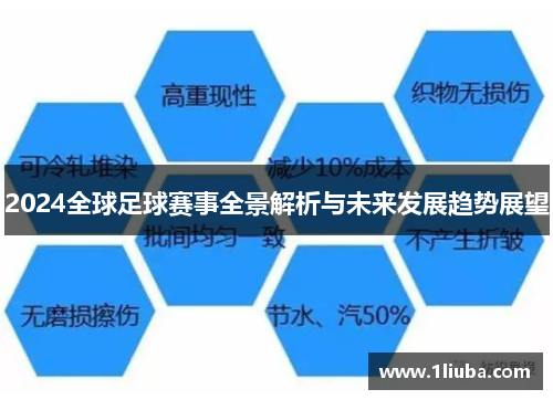 2024全球足球赛事全景解析与未来发展趋势展望
